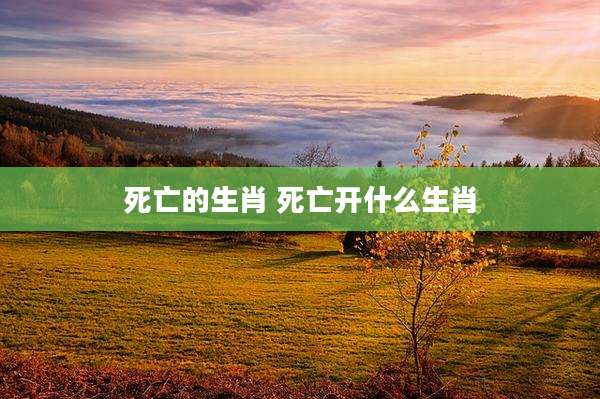 死亡的生肖 死亡开什么生肖