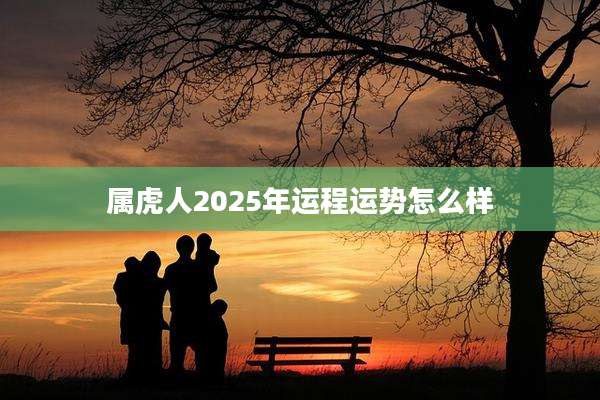 属虎人2025年运程运势怎么样