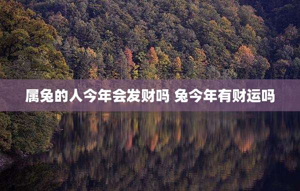 属兔的人今年会发财吗 兔今年有财运吗