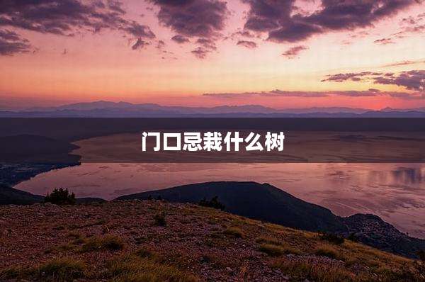 门口忌栽什么树