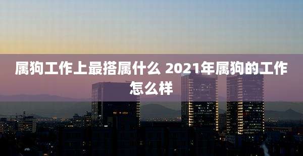 属狗工作上最搭属什么 2021年属狗的工作怎么样