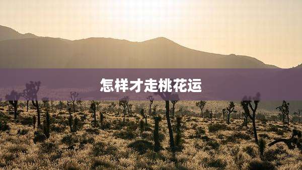 怎样才走桃花运