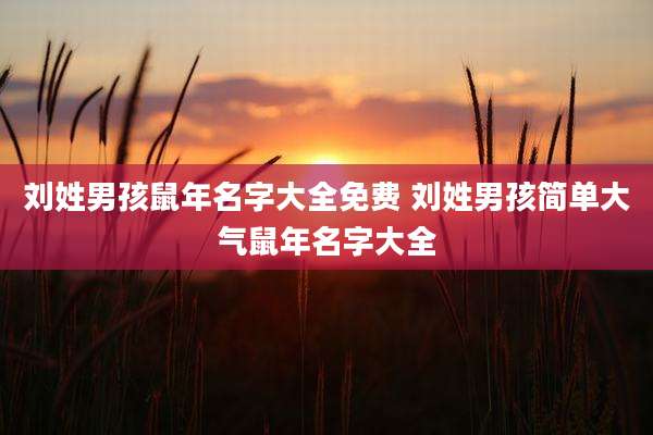 刘姓男孩鼠年名字大全免费 刘姓男孩简单大气鼠年名字大全