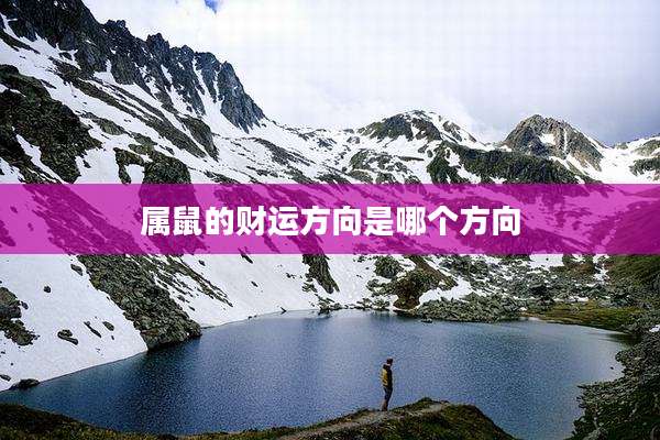 属鼠的财运方向是哪个方向