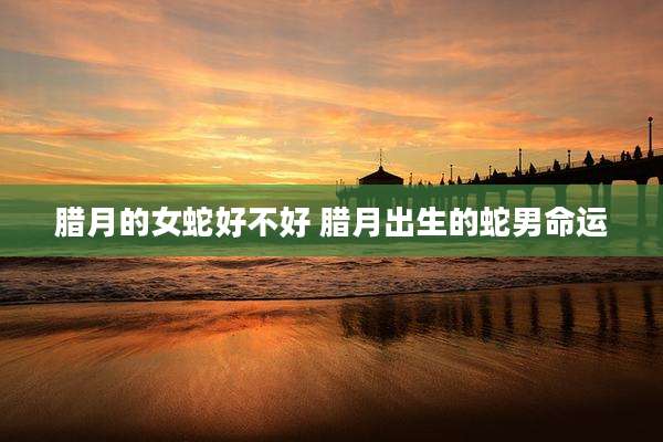 腊月的女蛇好不好 腊月出生的蛇男命运