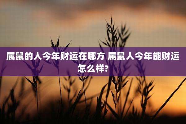 属鼠的人今年财运在哪方 属鼠人今年能财运怎么样?