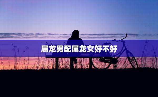 属龙男配属龙女好不好