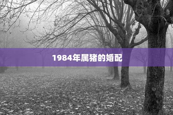 1984年属猪的婚配