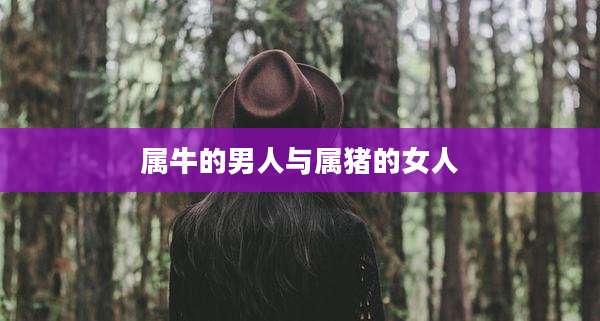 属牛的男人与属猪的女人