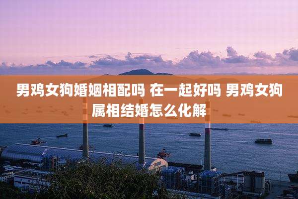 男鸡女狗婚姻相配吗 在一起好吗 男鸡女狗属相结婚怎么化解