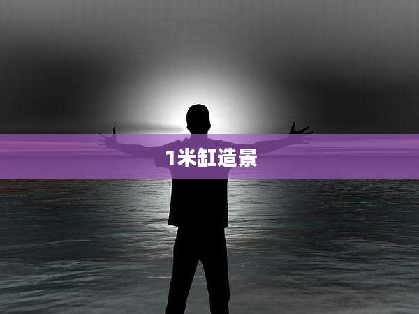 1米缸造景
