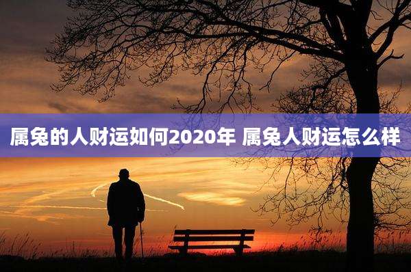 属兔的人财运如何2020年 属兔人财运怎么样