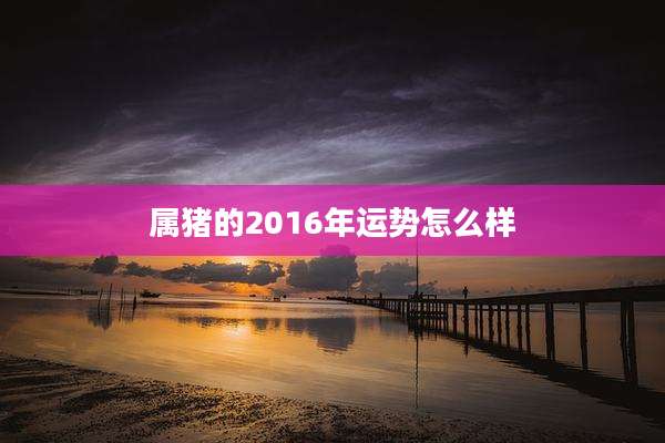 属猪的2016年运势怎么样