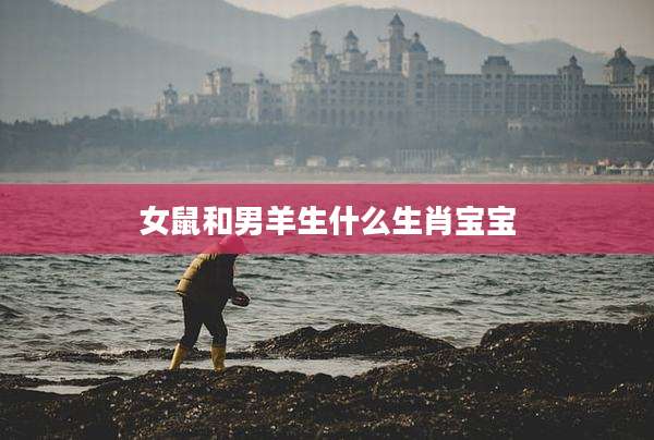 女鼠和男羊生什么生肖宝宝