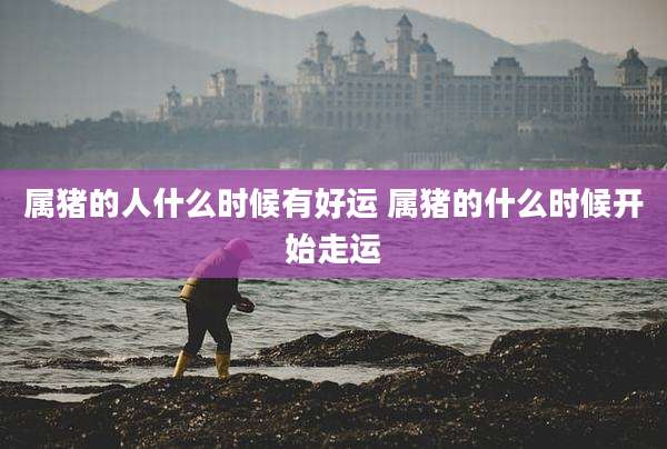 属猪的人什么时候有好运 属猪的什么时候开始走运