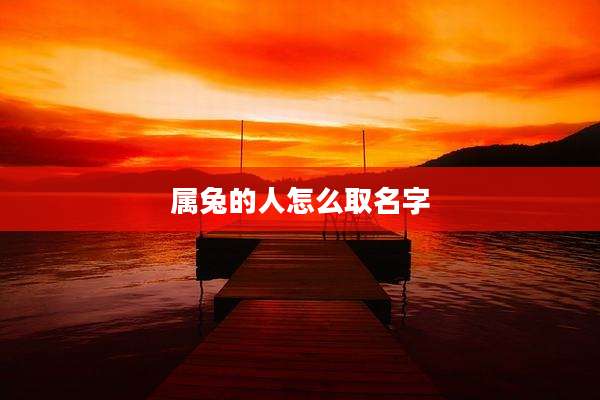 属兔的人怎么取名字