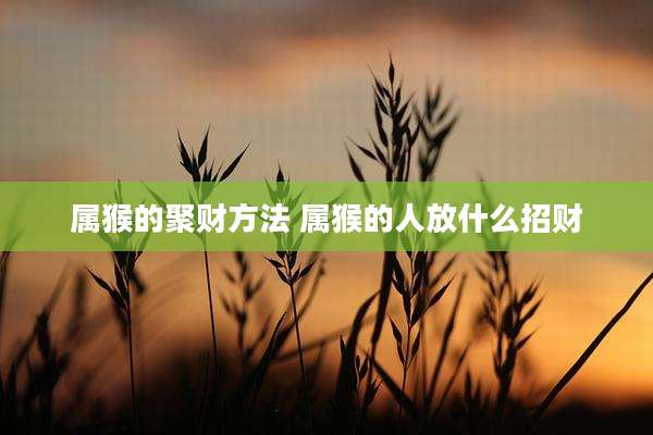 属猴的聚财方法 属猴的人放什么招财