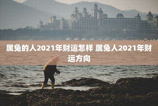 属兔的人2021年财运怎样 属兔人2021年财运方向