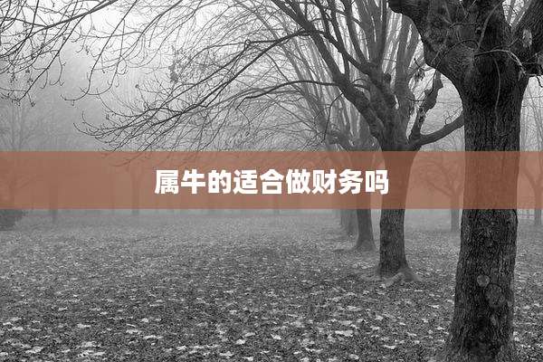 属牛的适合做财务吗