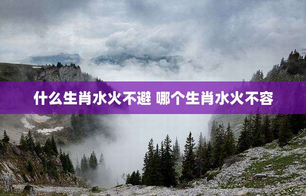 什么生肖水火不避 哪个生肖水火不容