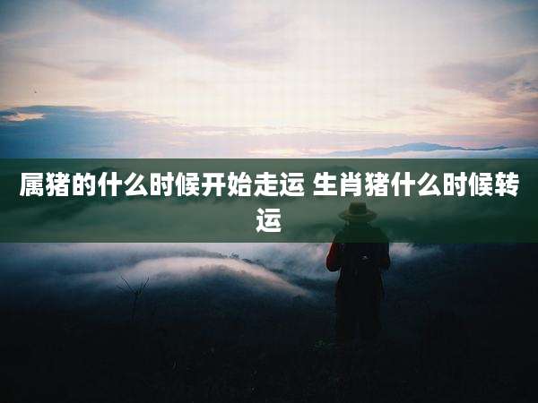 属猪的什么时候开始走运 生肖猪什么时候转运