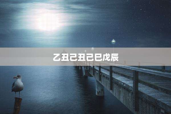 乙丑己丑己巳戊辰