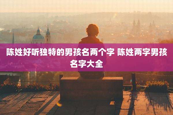 陈姓好听独特的男孩名两个字 陈姓两字男孩名字大全