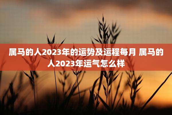 属马的人2023年的运势及运程每月 属马的人2023年运气怎么样