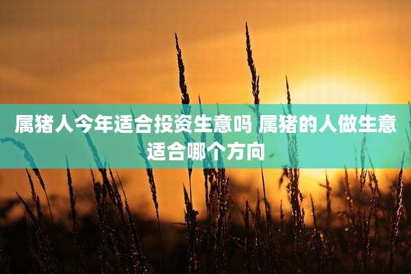 属猪人今年适合投资生意吗 属猪的人做生意适合哪个方向