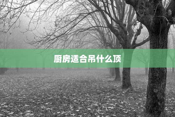 厨房适合吊什么顶