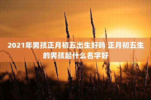 2021年男孩正月初五出生好吗 正月初五生的男孩起什么名字好