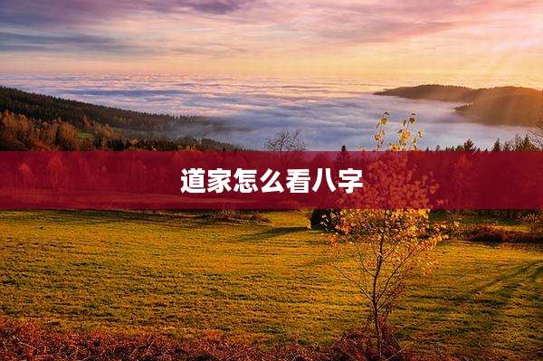 道家怎么看八字