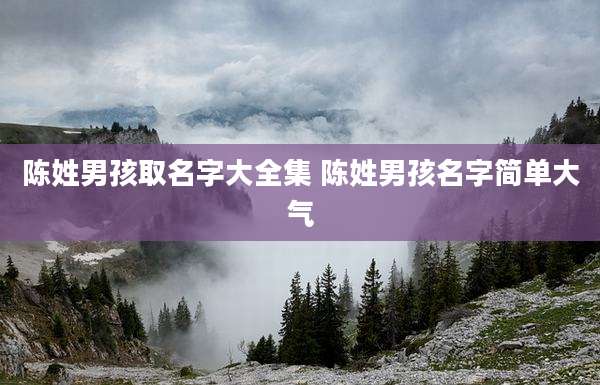 陈姓男孩取名字大全集 陈姓男孩名字简单大气