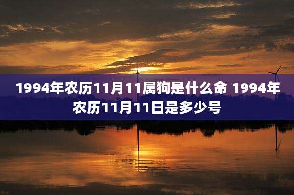 1994年农历11月11属狗是什么命 1994年农历11月11日是多少号