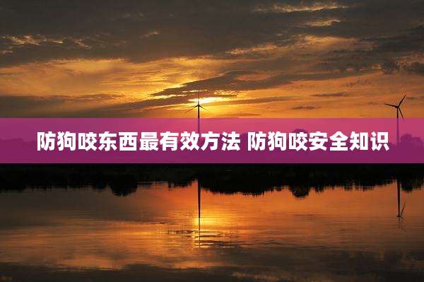 防狗咬东西最有效方法 防狗咬安全知识