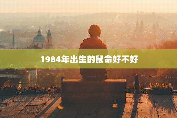 1984年出生的鼠命好不好