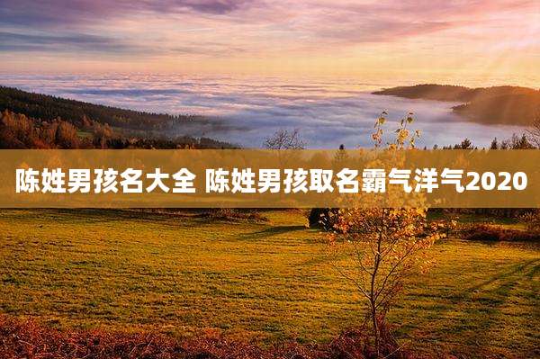 陈姓男孩名大全 陈姓男孩取名霸气洋气2020