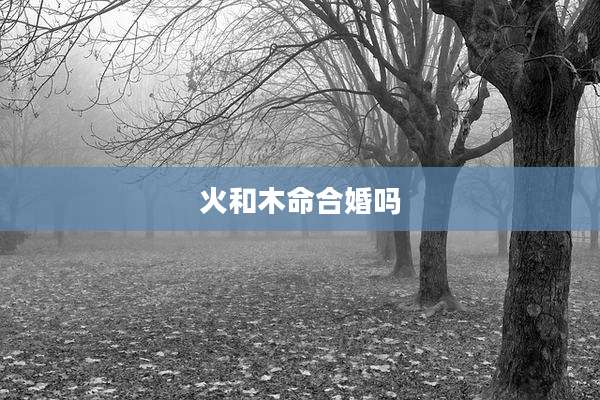 火和木命合婚吗