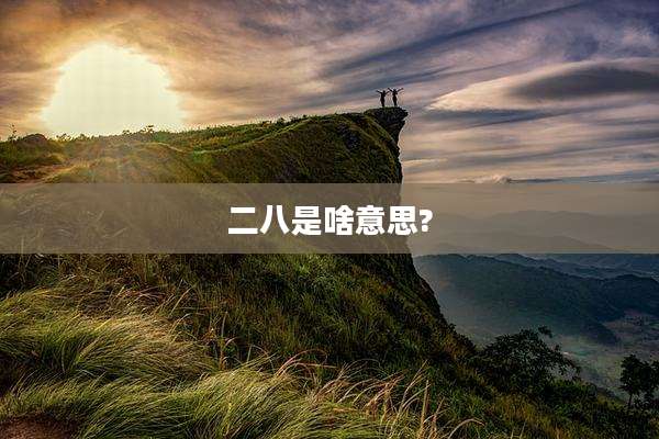 二八是啥意思?