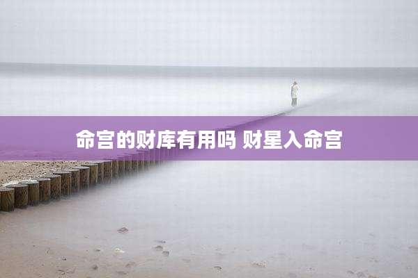 命宫的财库有用吗 财星入命宫