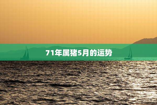 71年属猪5月的运势