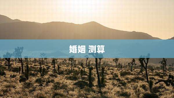 婚姻 测算