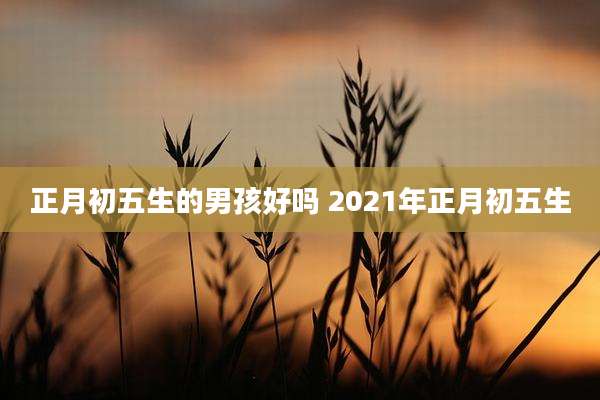正月初五生的男孩好吗 2021年正月初五生