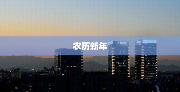 农历新年