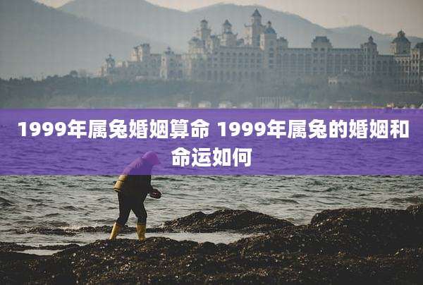 1999年属兔婚姻算命 1999年属兔的婚姻和命运如何