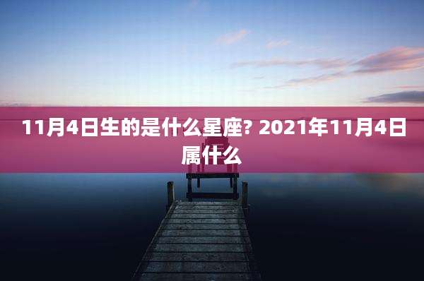 11月4日生的是什么星座? 2021年11月4日属什么