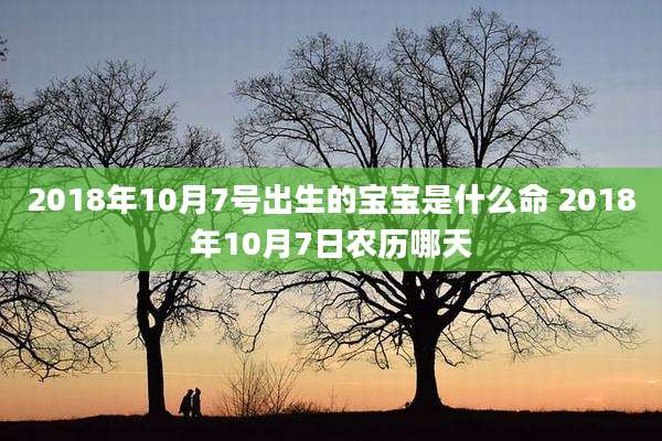 2018年10月7号出生的宝宝是什么命 2018年10月7日农历哪天