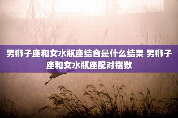 男狮子座和女水瓶座结合是什么结果 男狮子座和女水瓶座配对指数