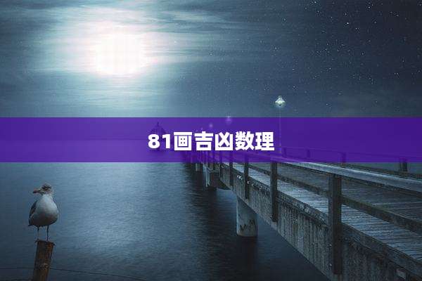 81画吉凶数理