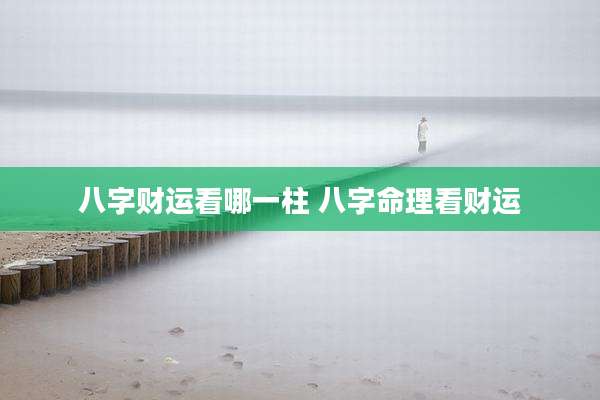 八字财运看哪一柱 八字命理看财运